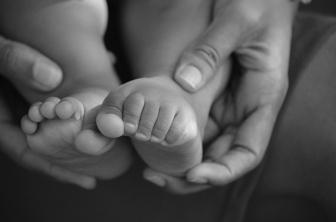 baby's feet baby feet free photo