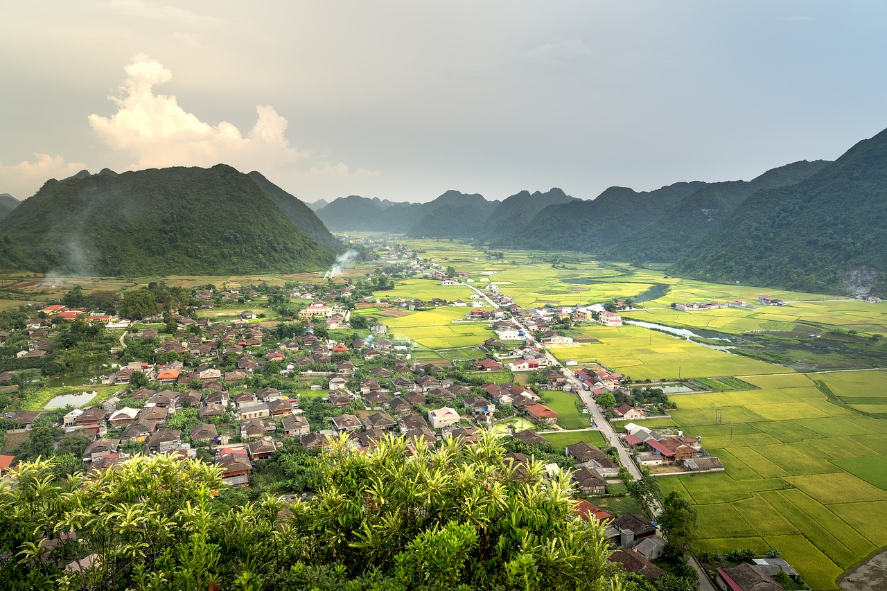 bac son  silk  field free photo