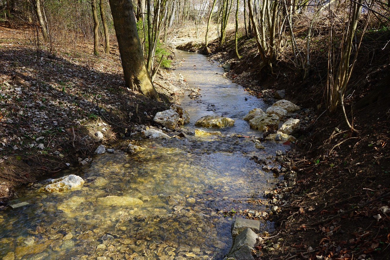 bach creek waters free photo