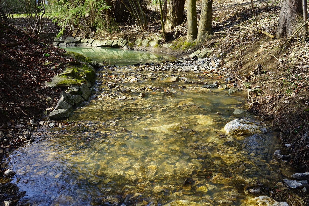 bach creek waters free photo