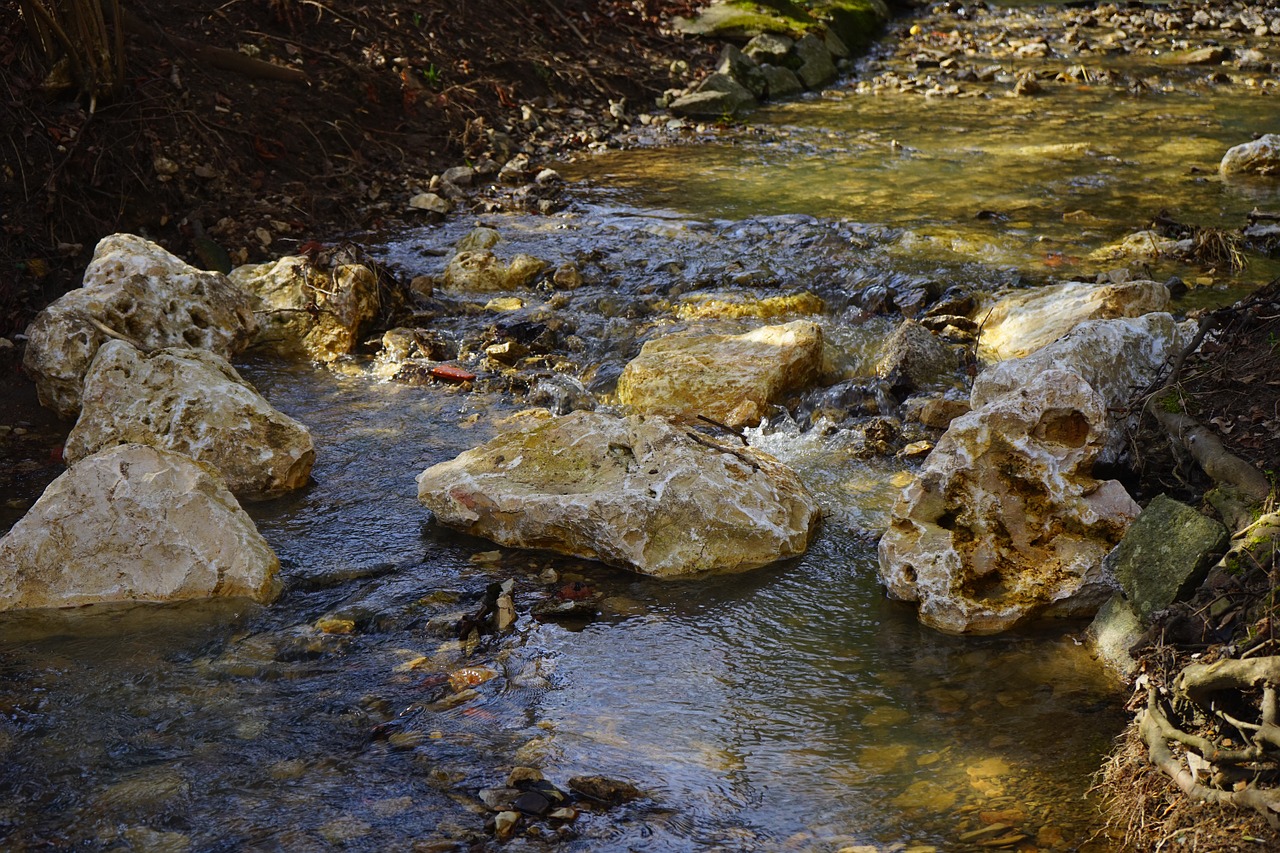 bach creek waters free photo