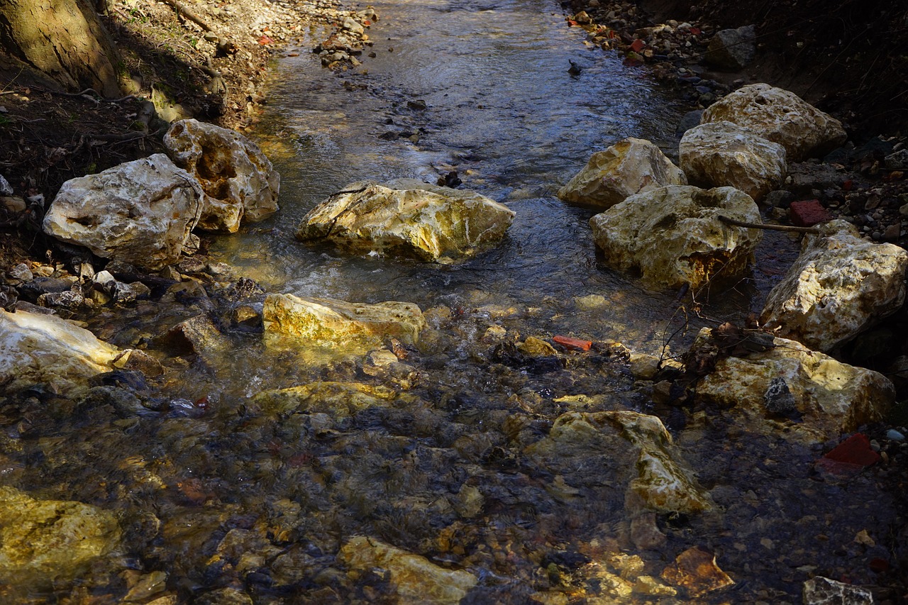 bach creek waters free photo