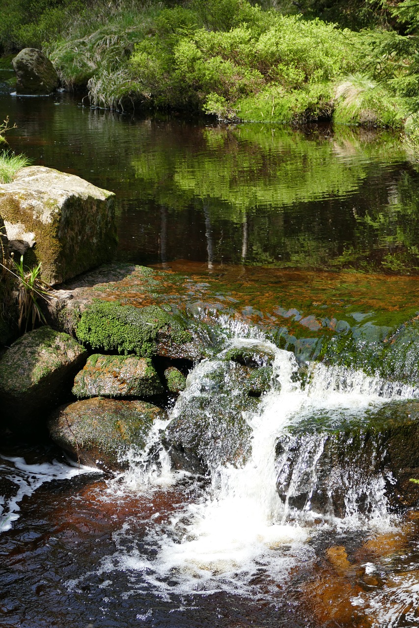 bach creek water free photo