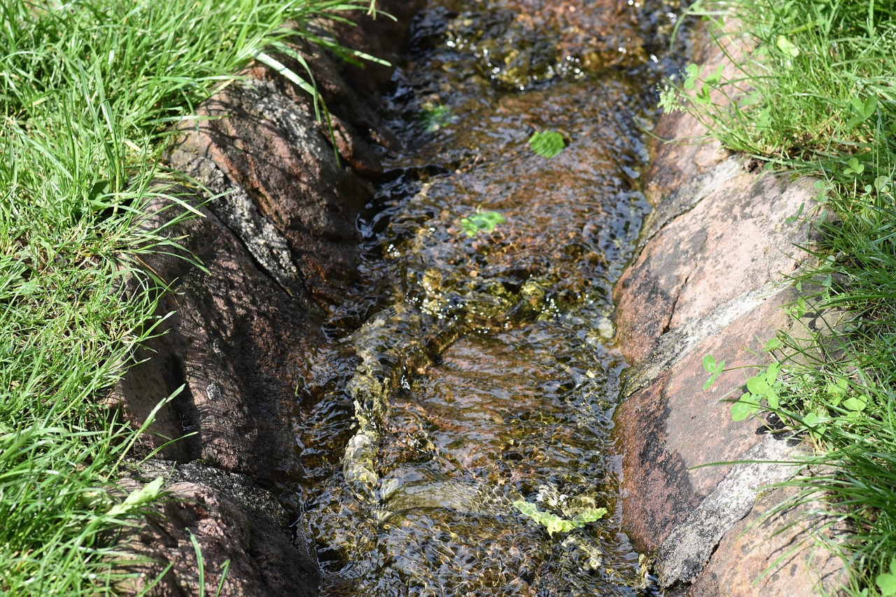 bach water running grass free photo