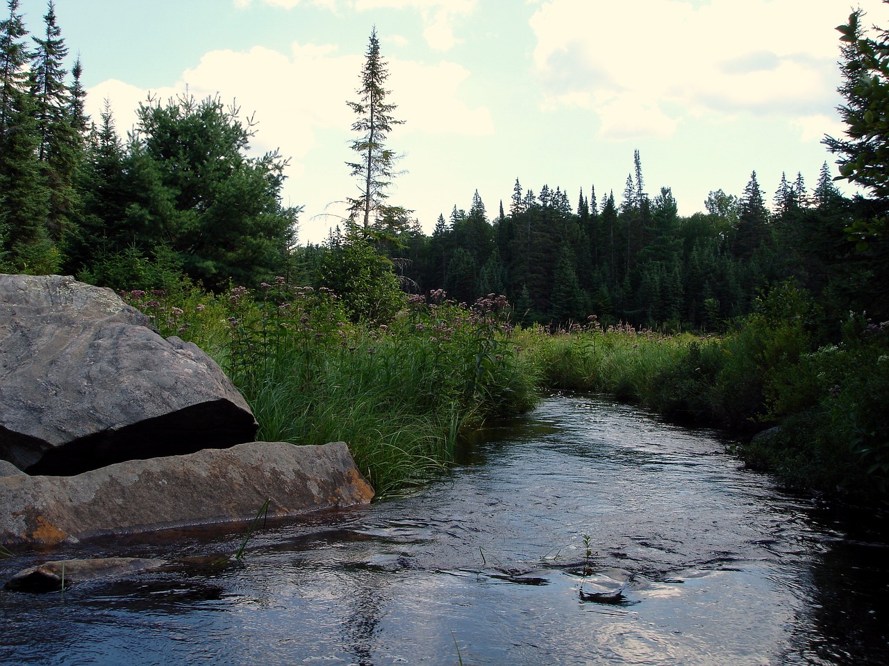 bach river water free photo