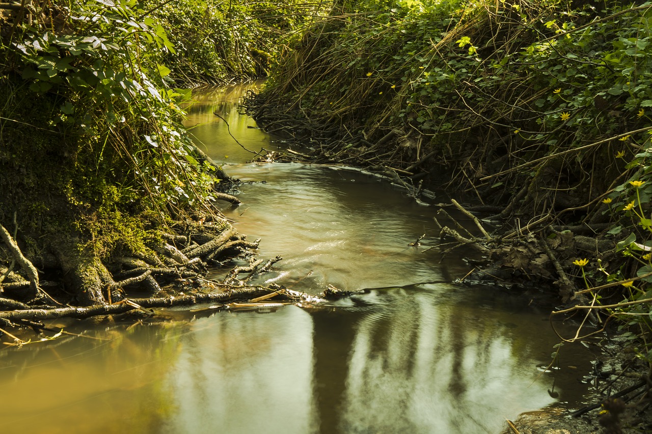 bach water long exposure free photo