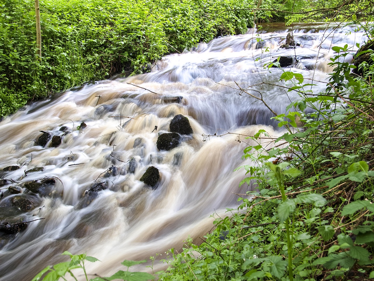 bach water landscape free photo