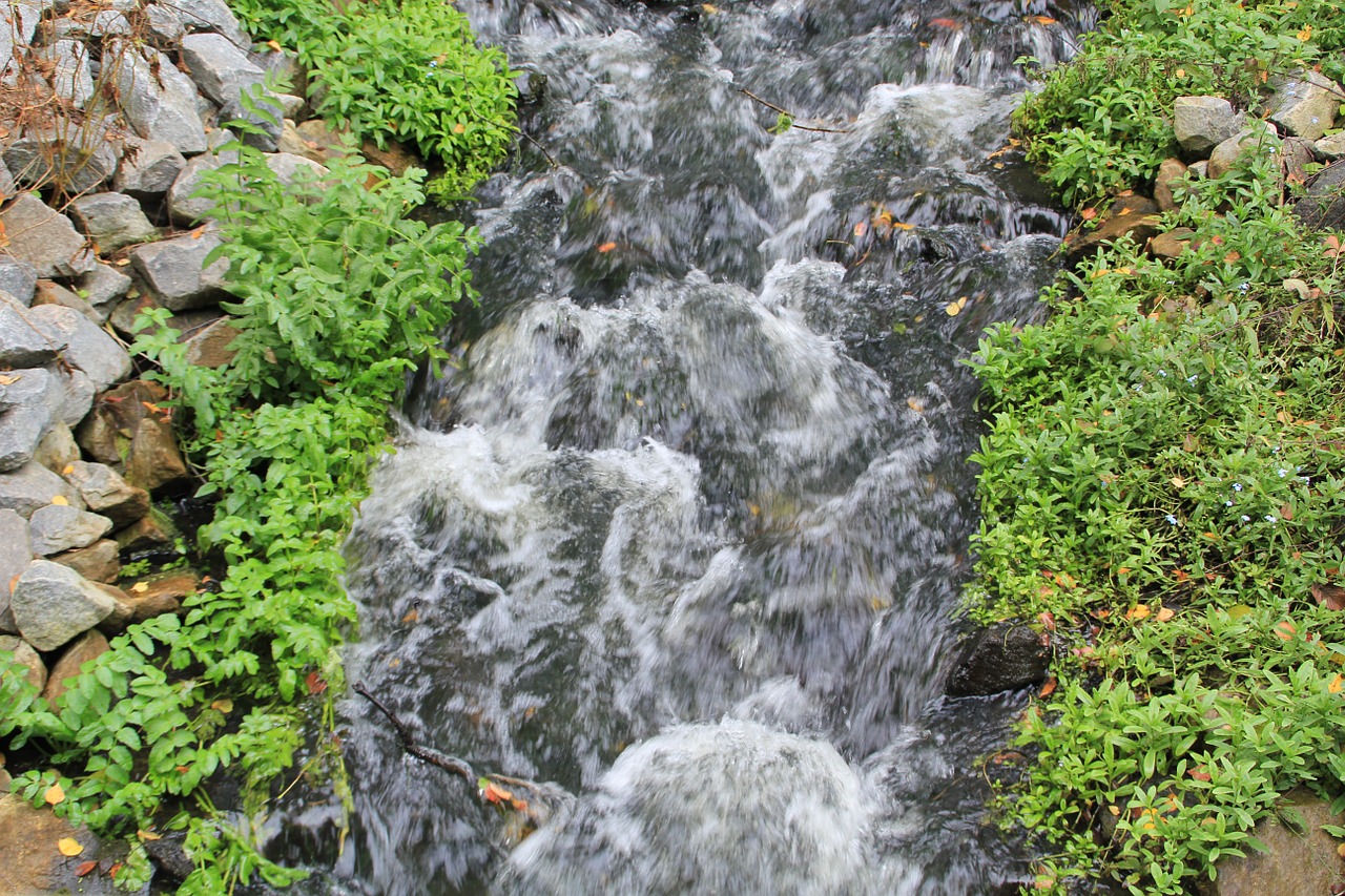 bach stones murmur free photo