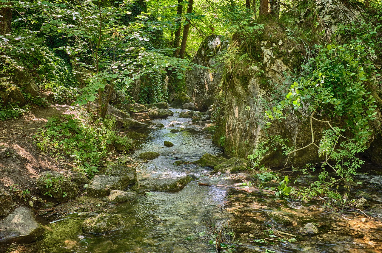 bach idyllic rock free photo