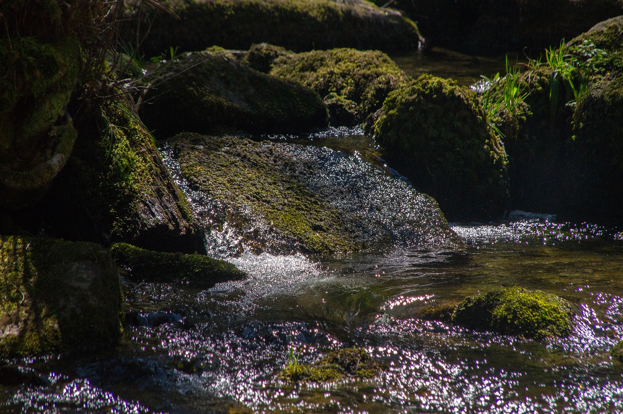 bach torrent waters free photo