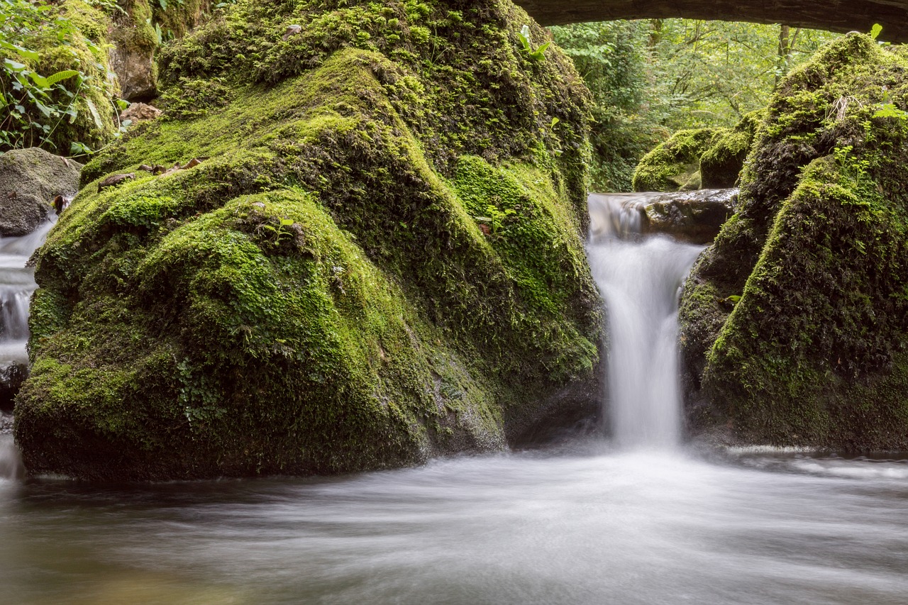 bach water nature free photo