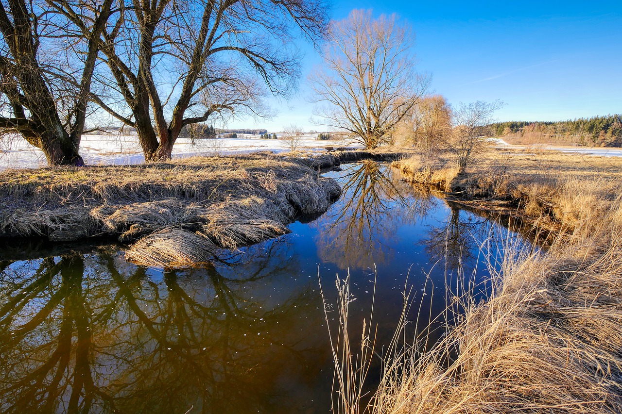 bach  winter  creek free photo