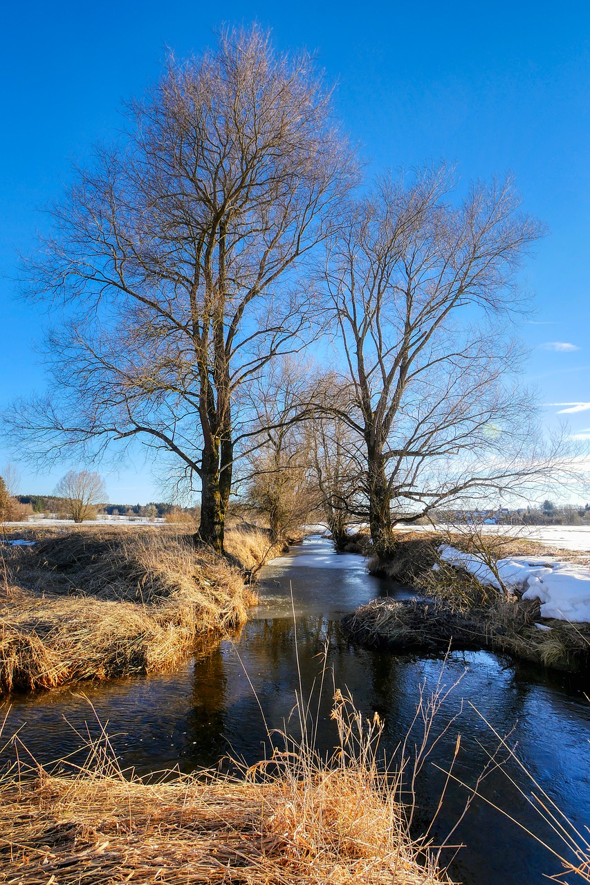 bach  winter  creek free photo