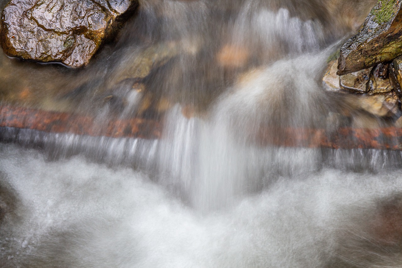 bach  river  watercourse free photo