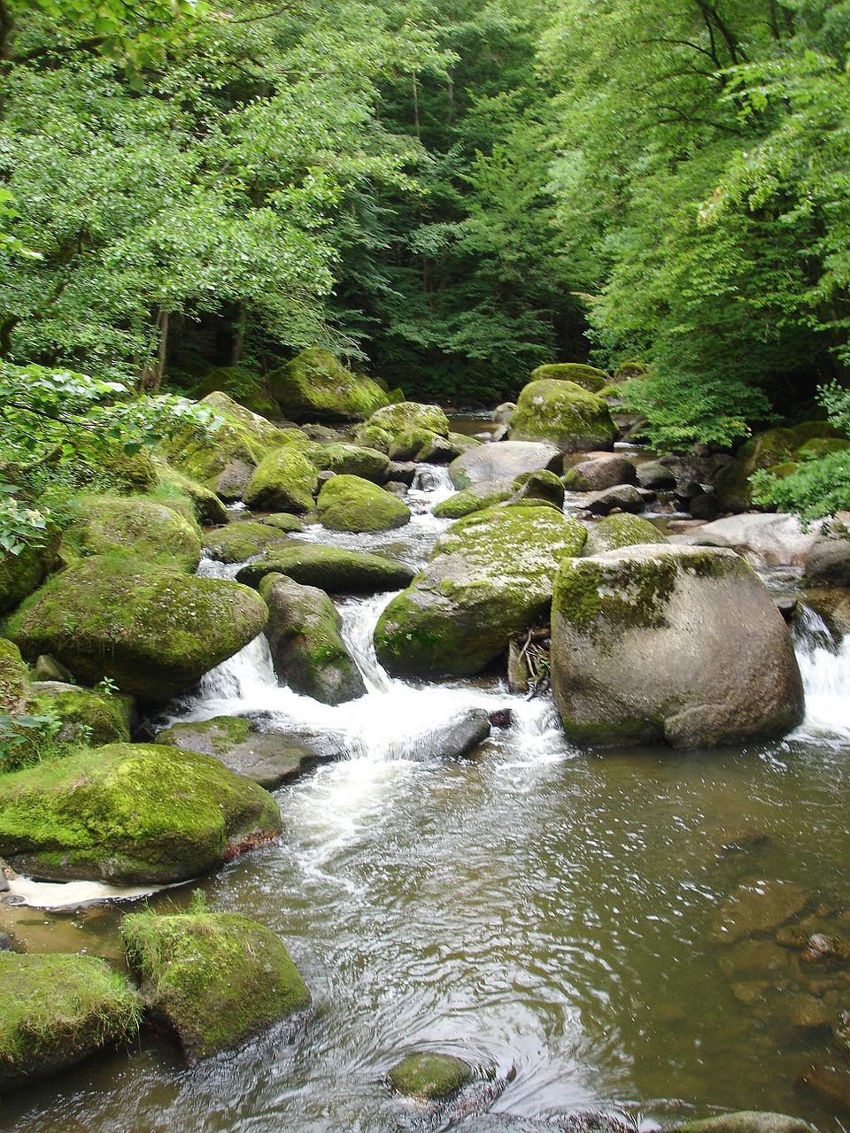 bach stones water running free photo