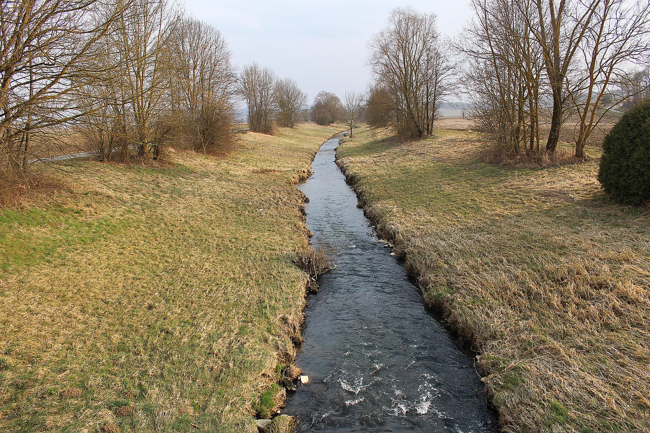 bach landscape creek free photo