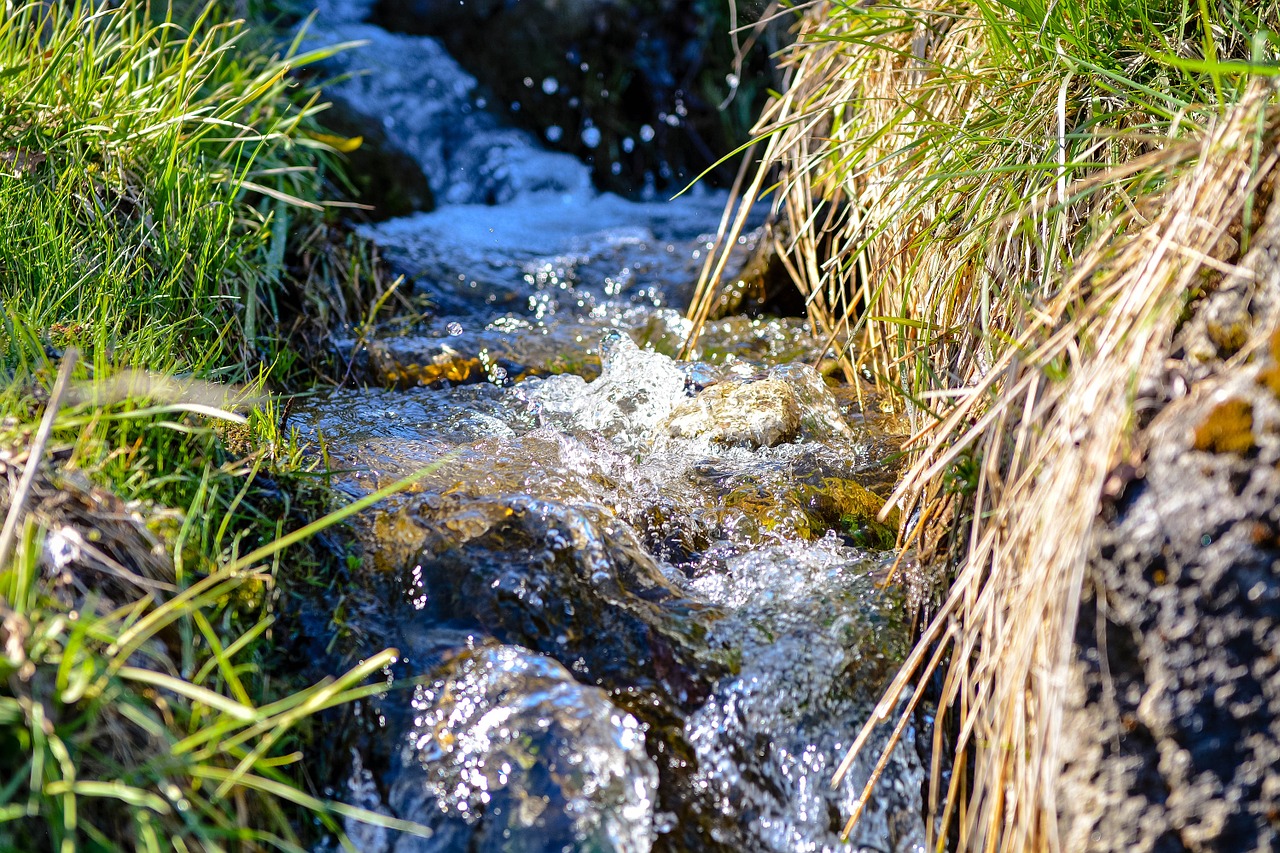 bach natural stream wiesenbach free photo