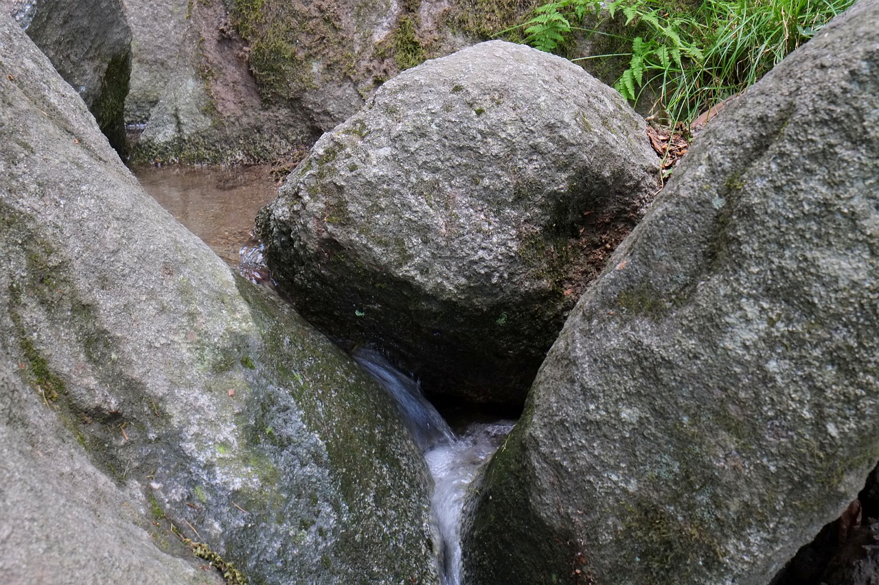 bach trickle nature free photo