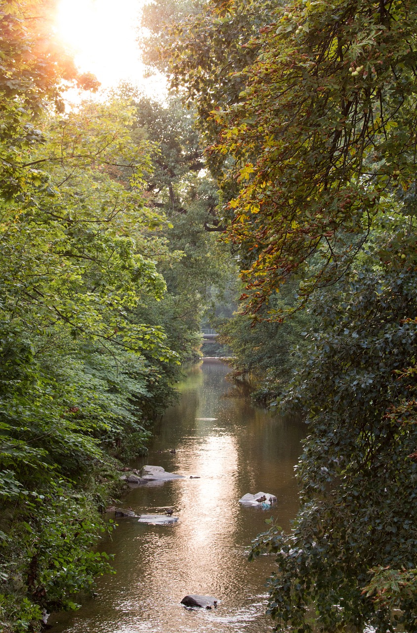 bach baden baden idyll free photo