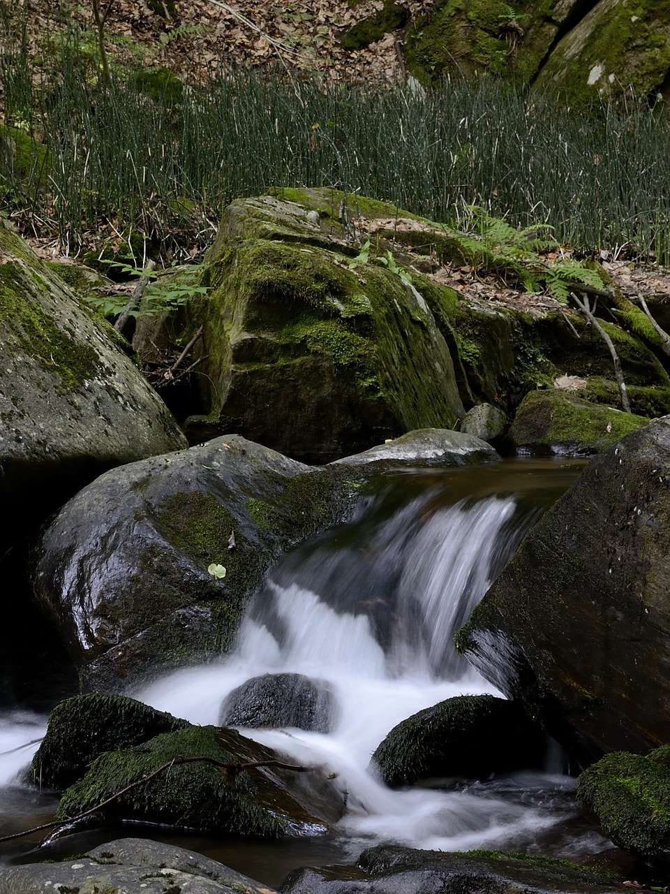 bach austria styria free photo