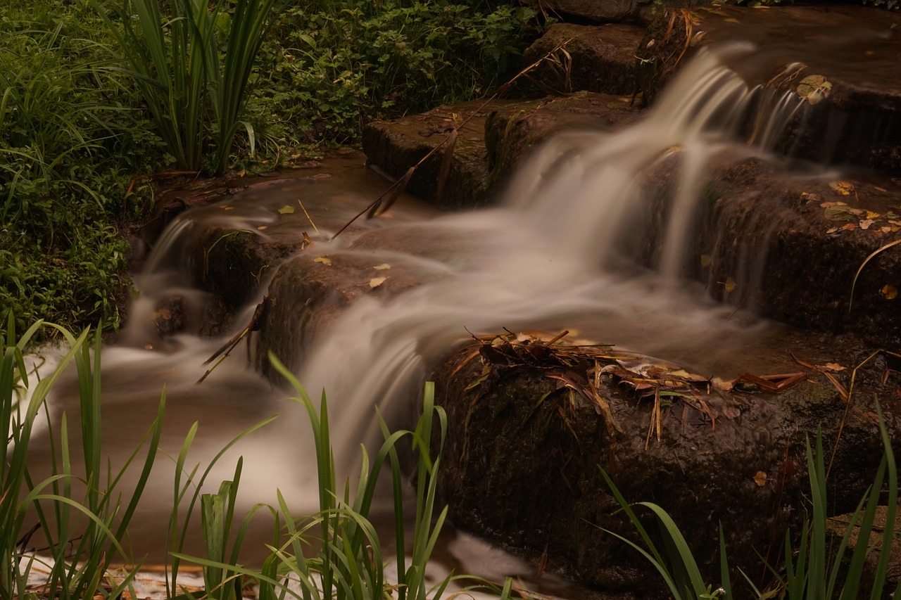 bach creek water free photo