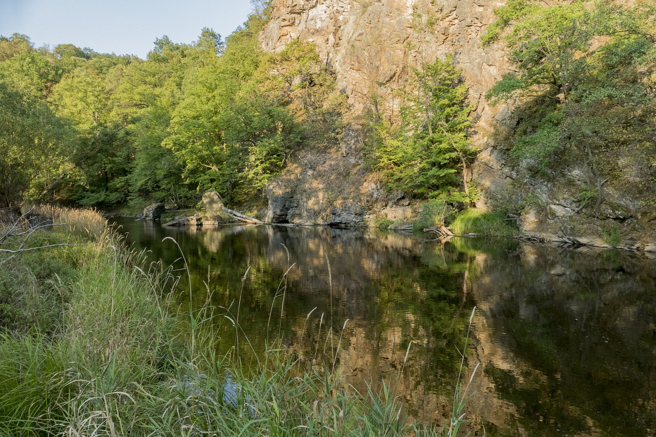 bach water landscape free photo