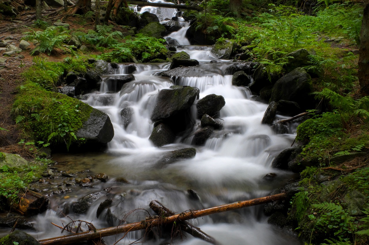 bach river long exposure free photo