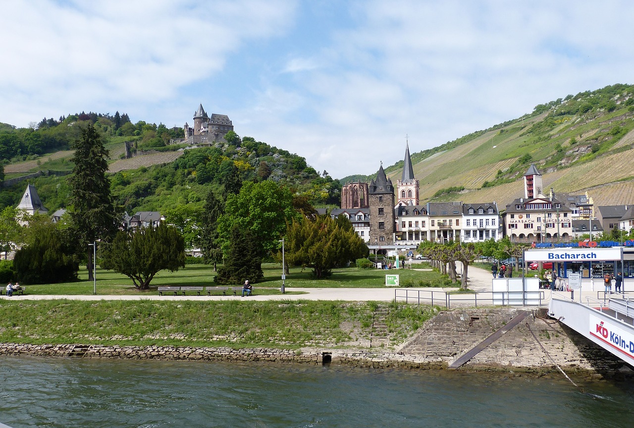 bacharach  castle  fortress free photo