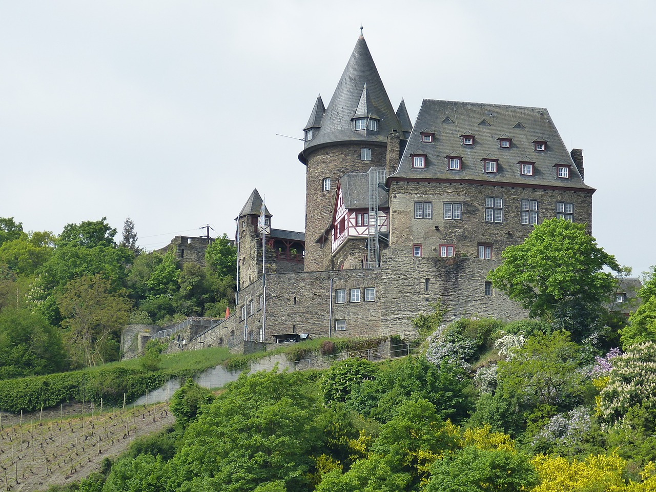 bacharach  castle  fortress free photo