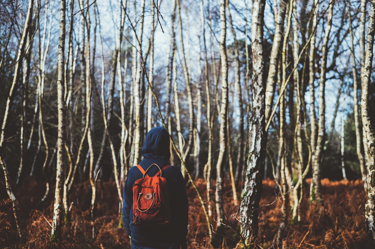 back backpack hoodie free photo