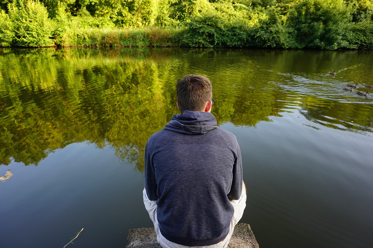 back  sitting  person free photo