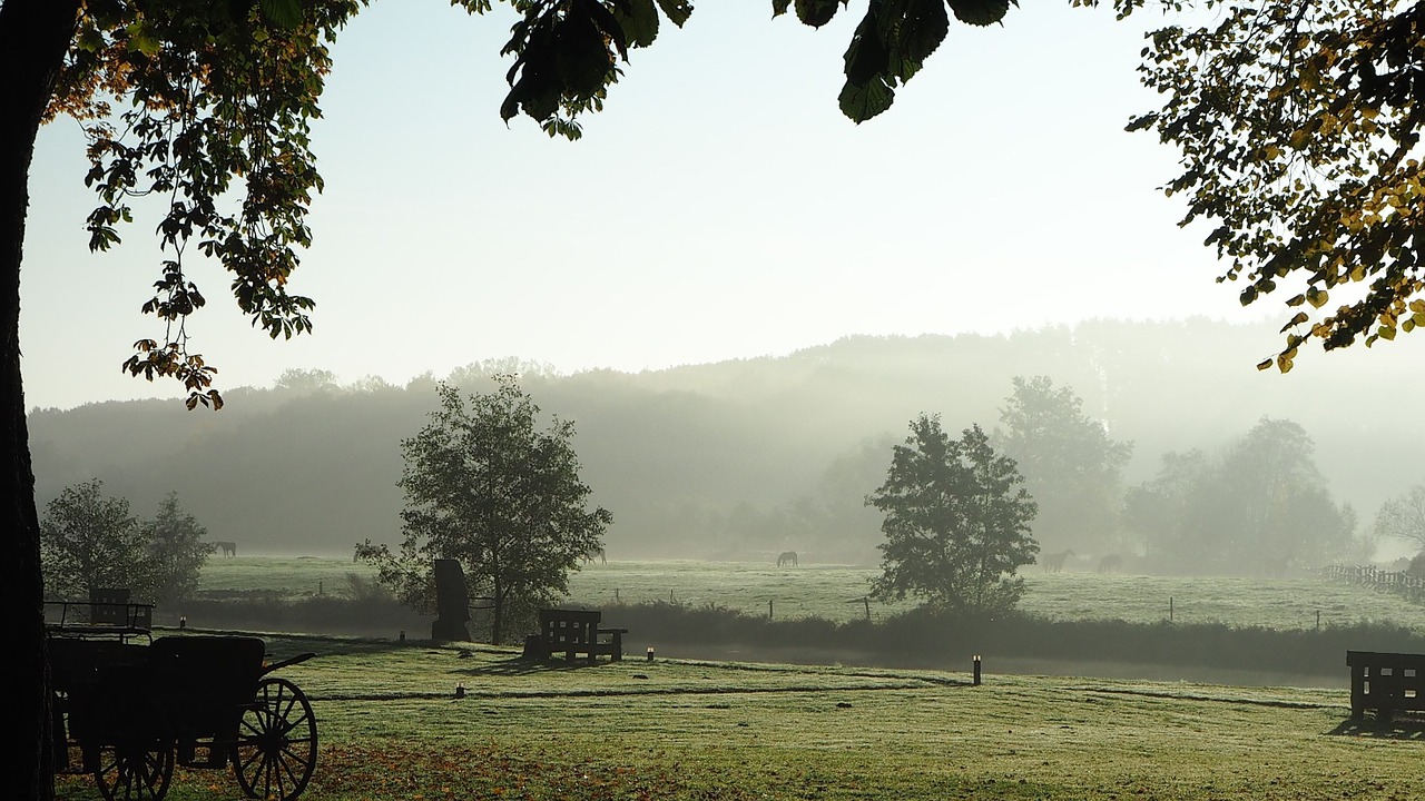 back light fog autumn free photo