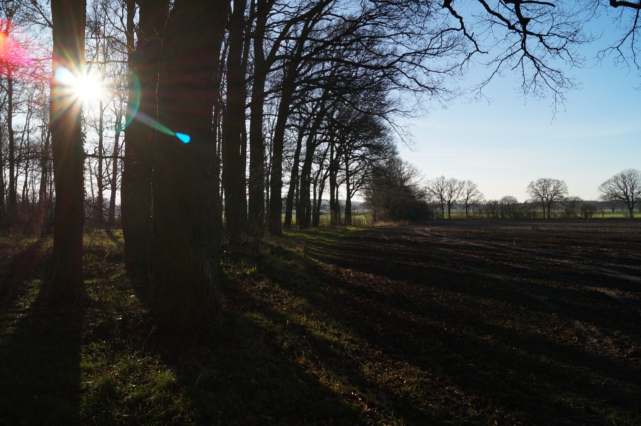 back light landscape nature free photo