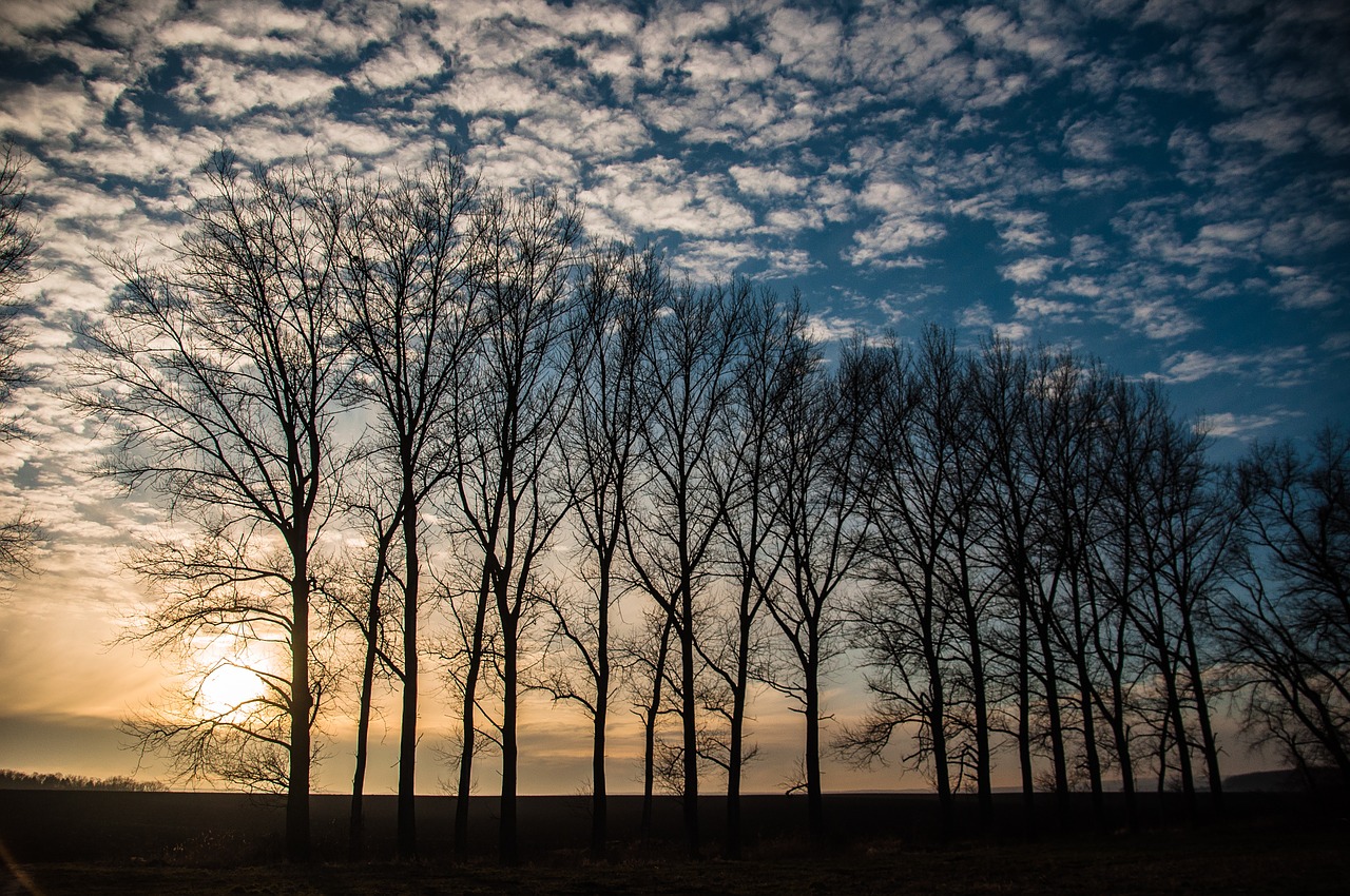 back light sky clouds free photo