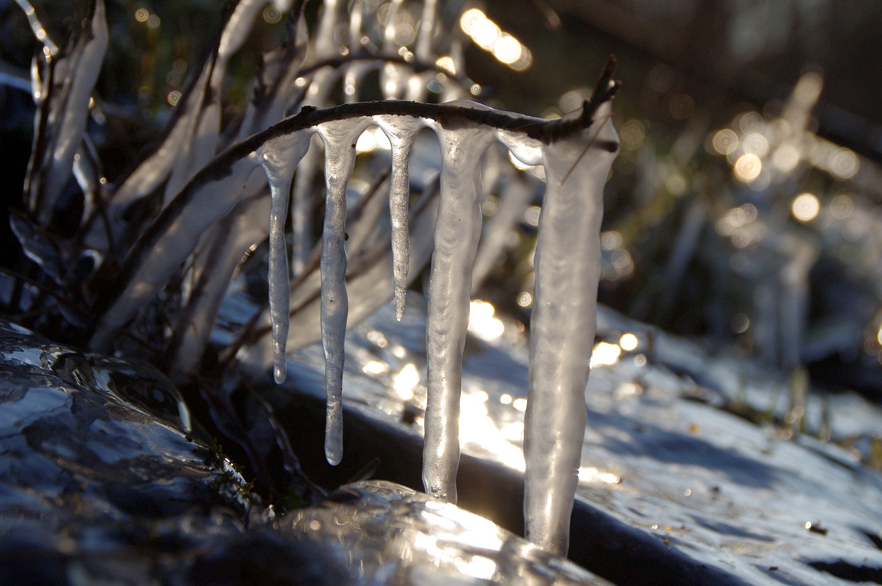 icicle cold back light free photo