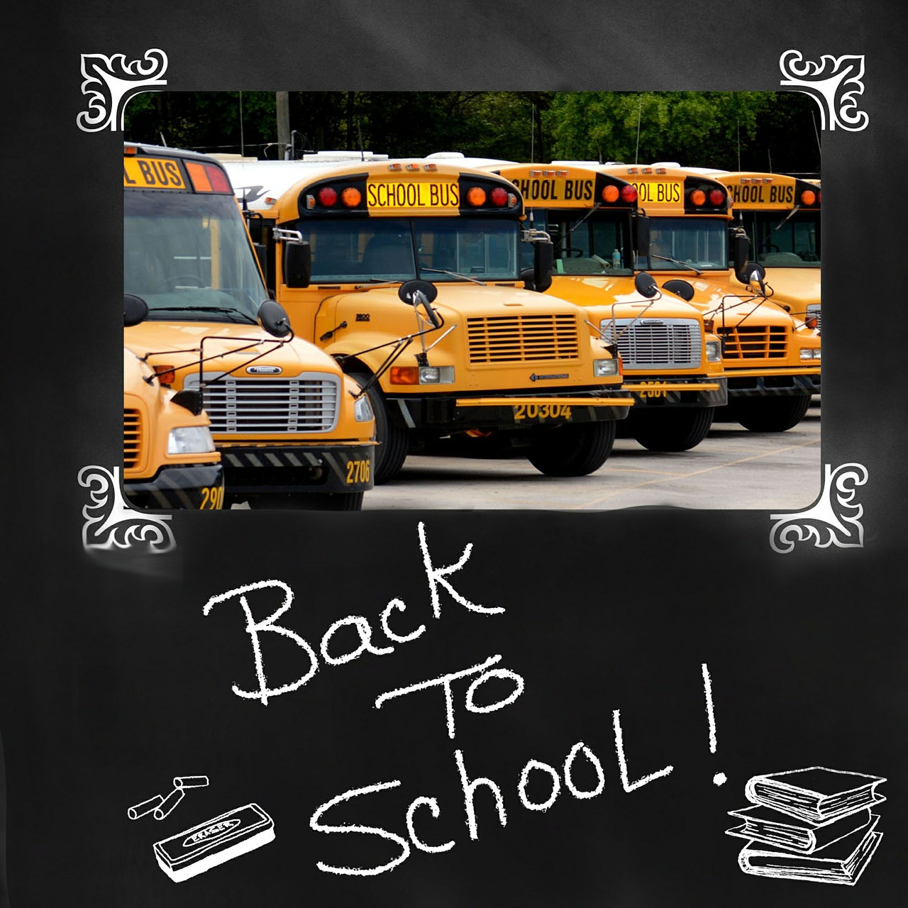 back to school school bus bus free photo