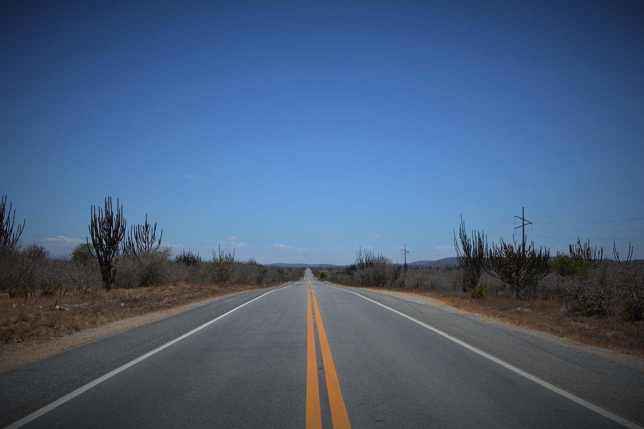 backcountry road caatinga free photo