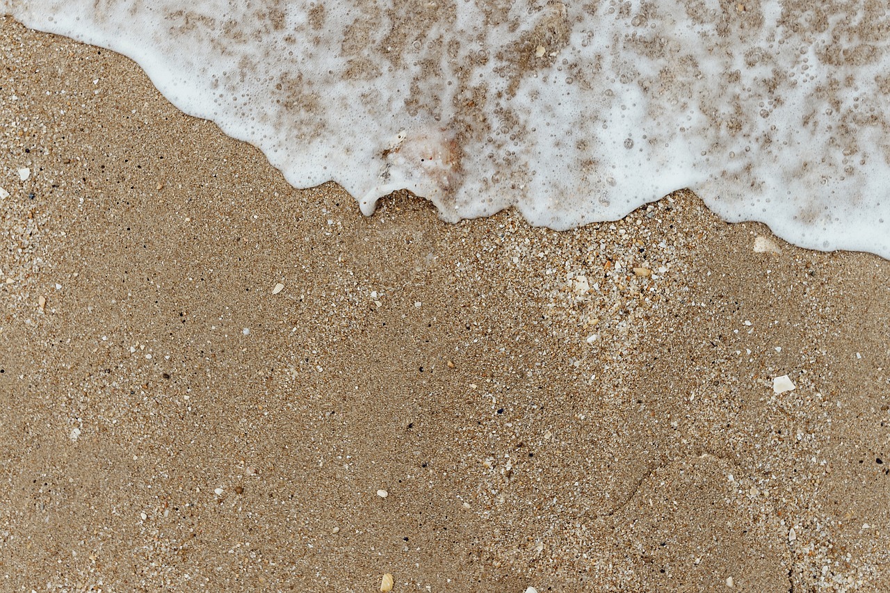 backdrop  background  beach free photo