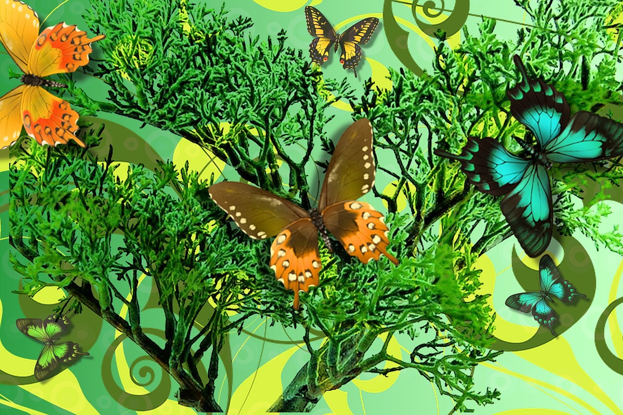 background tree butterfly free photo