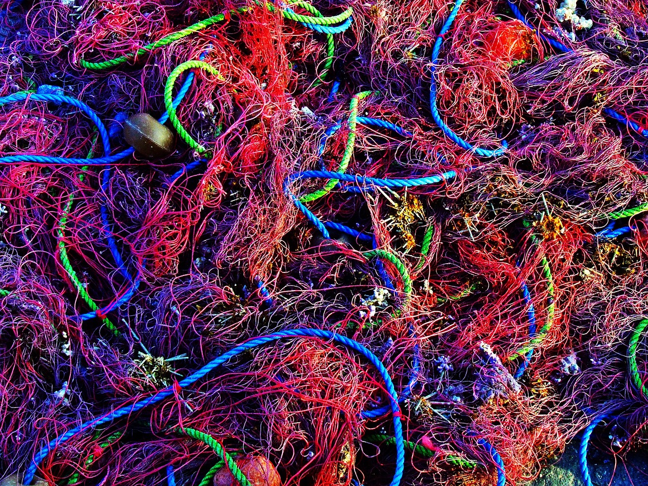 background fishing nets net free photo