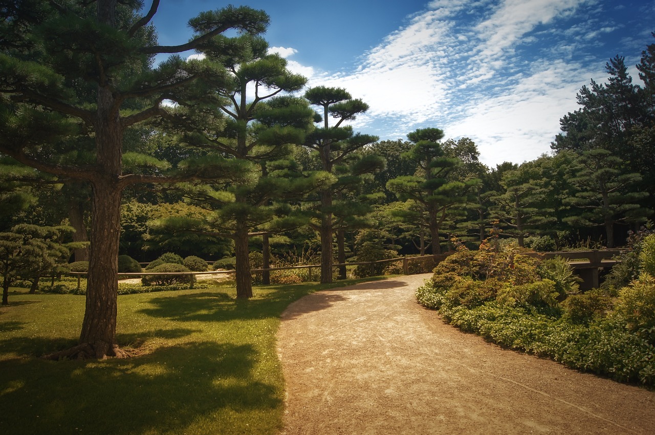 background japanese garden away free photo