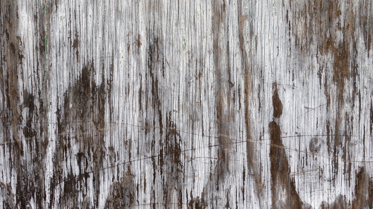 background texture wood free photo