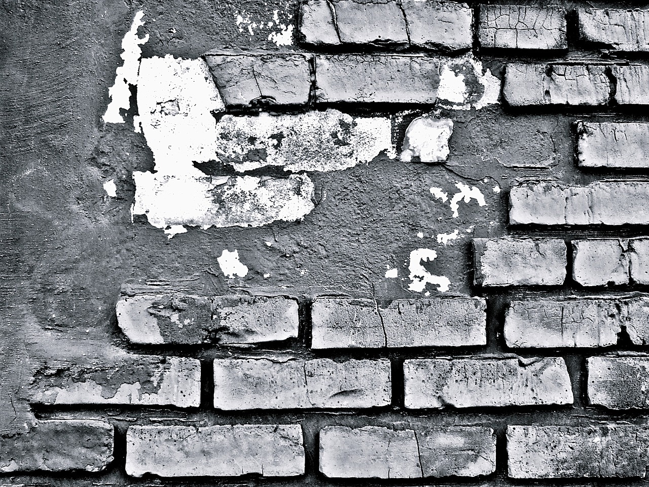 background brick wall wall free photo