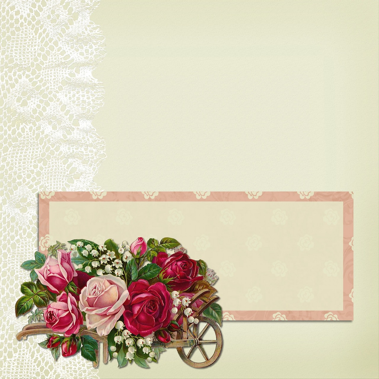 background lace rose free photo