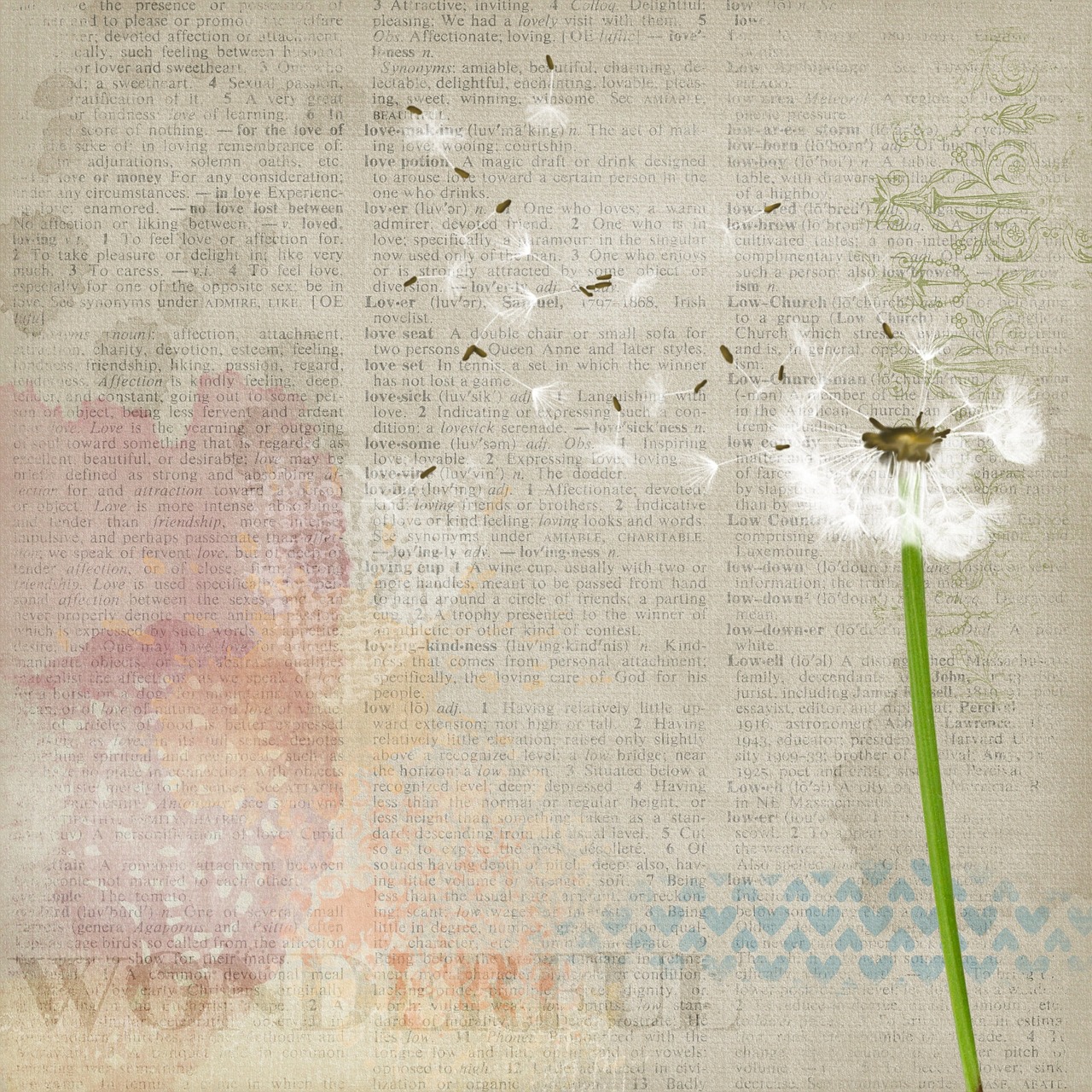 background dandelion plant free photo