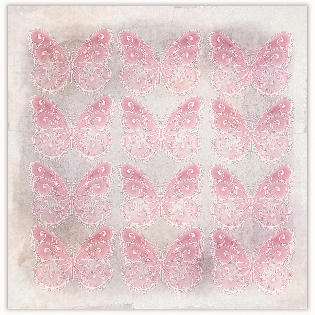 background butterfly pink free photo