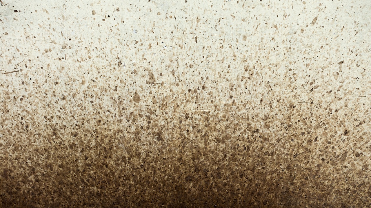 background texture wall free photo