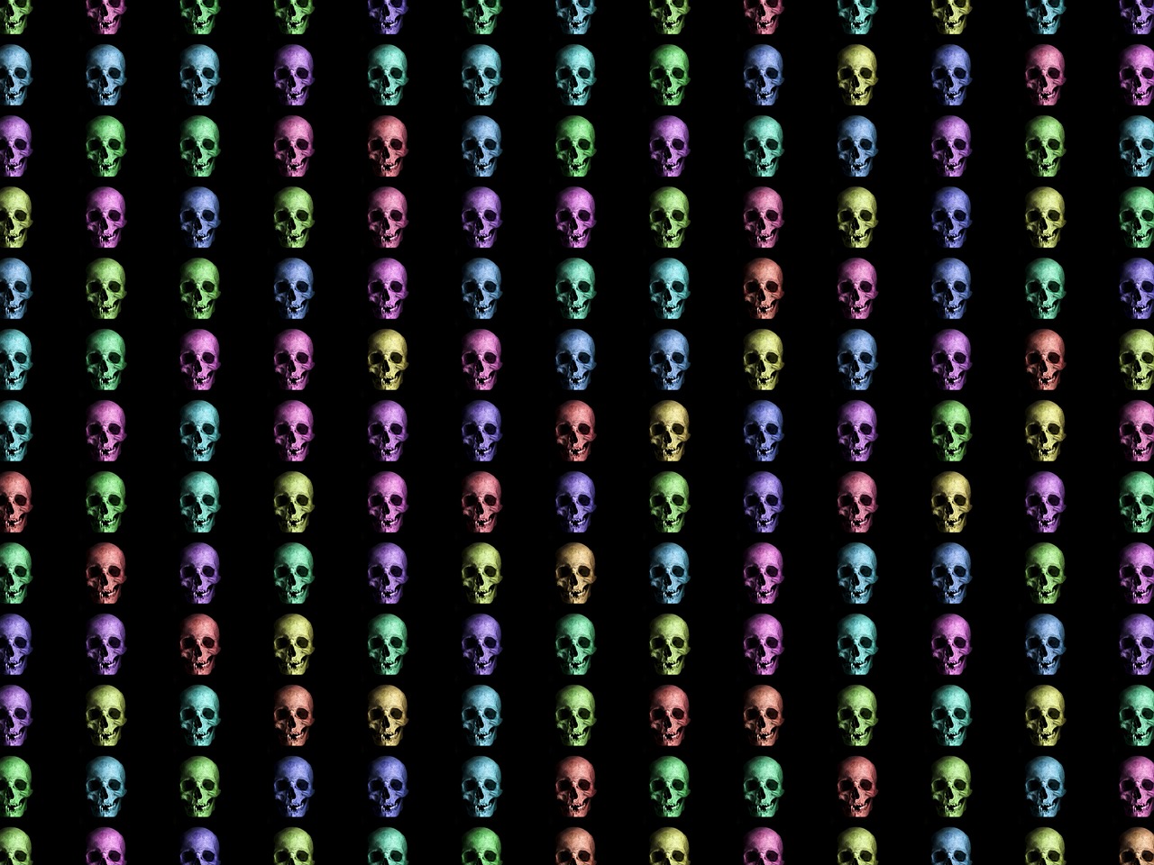 background skulls human free photo