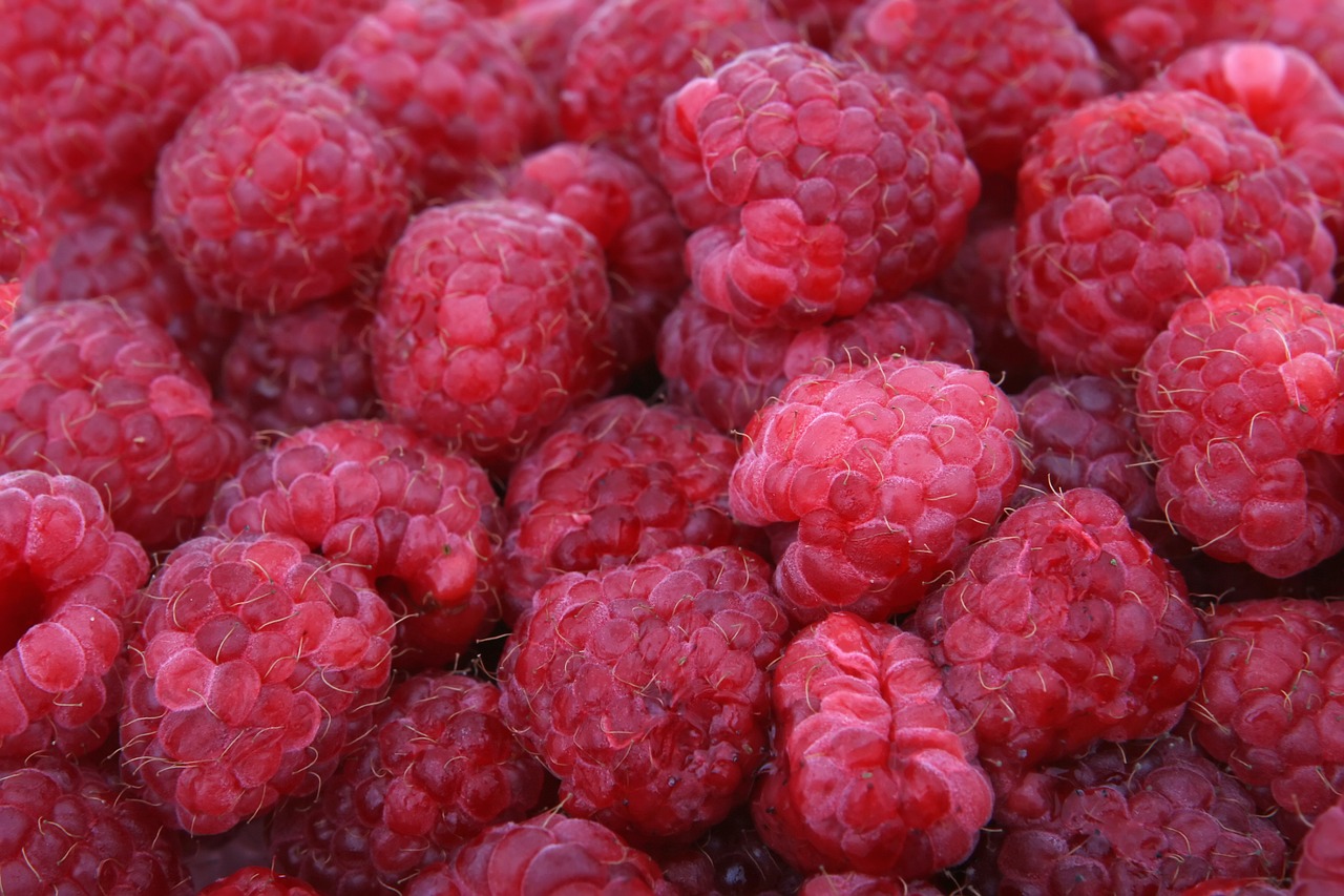 background berries berry free photo