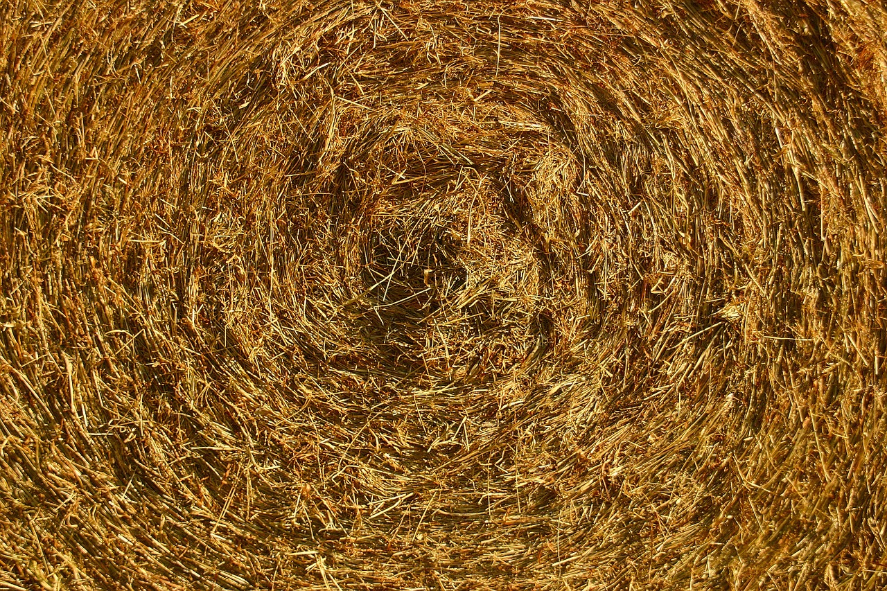 Download free photo of Background,texture,backgrounds,straw,free ...